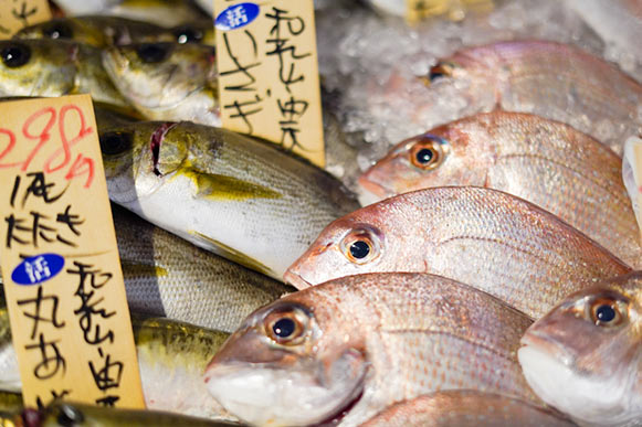 鮮魚の達人とは？