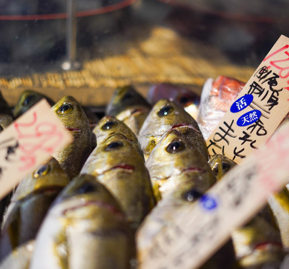 美味しい魚の選び方