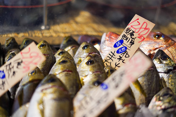 美味しい魚の選び方